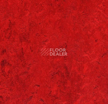 Линолеум Forbo Marmoleum Marbled Authentic 3127 Bleeckerstreet фото 1 | FLOORDEALER